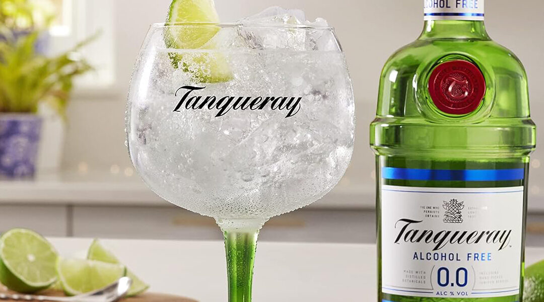 GIN TONIC ANALCOLICO